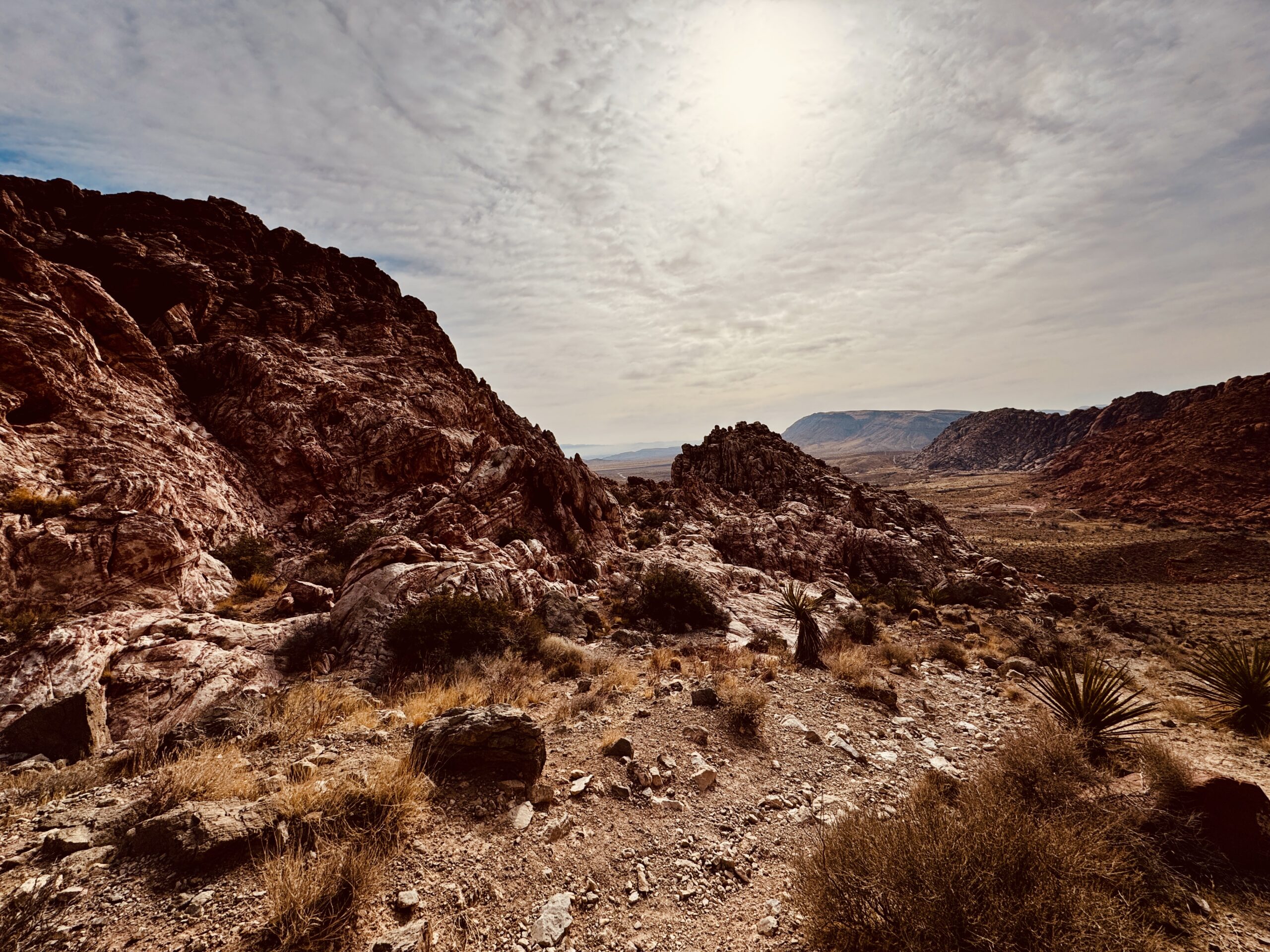 Rocky desert canyon in morning light