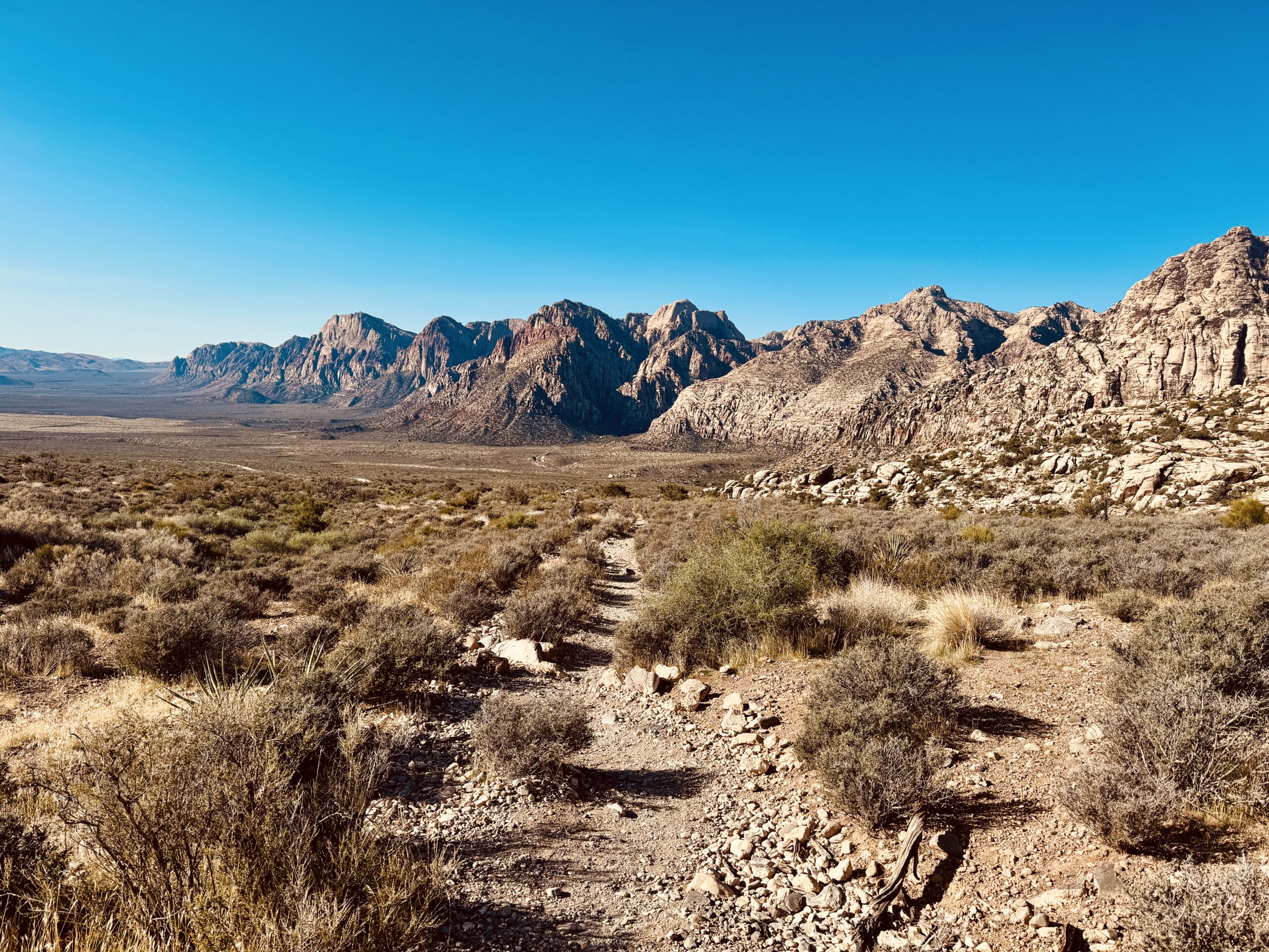 Desert trail leading toward a mountain range